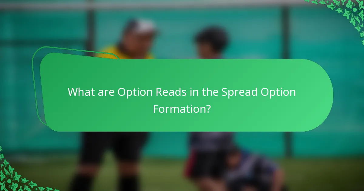 What are Option Reads in the Spread Option Formation?