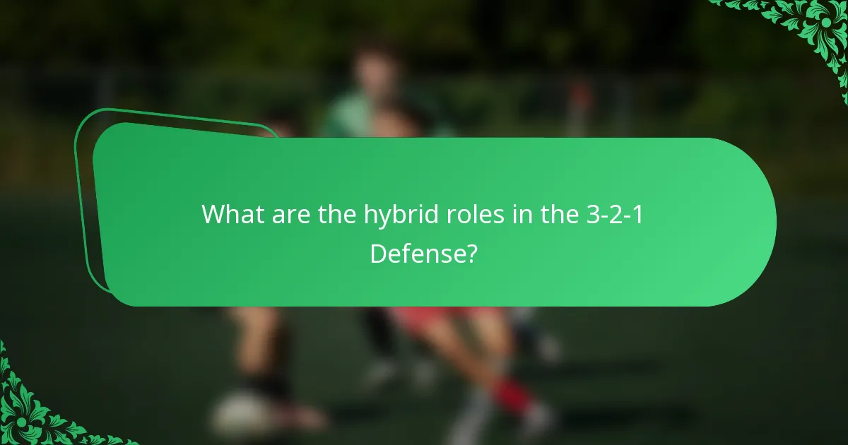 What are the hybrid roles in the 3-2-1 Defense?