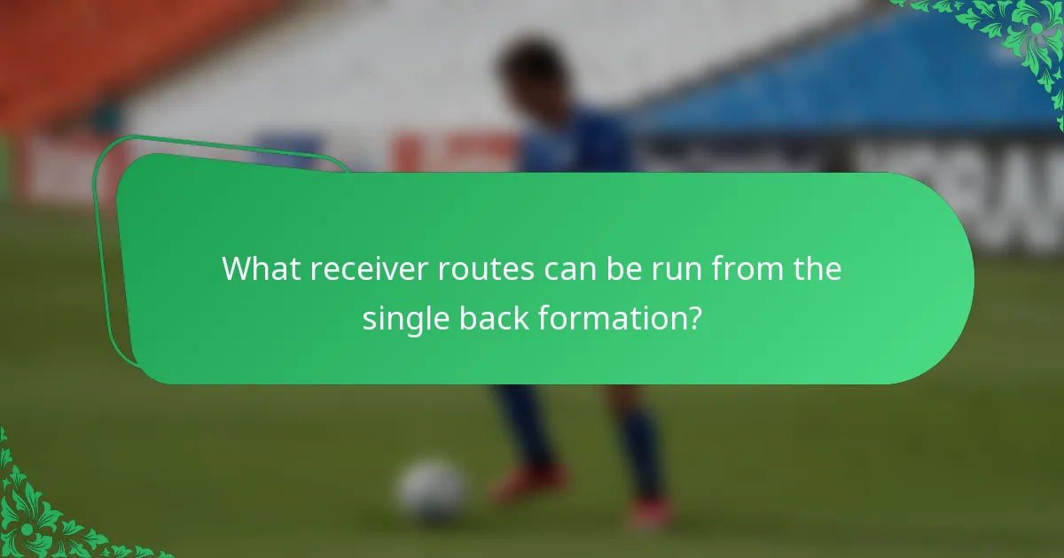 What receiver routes can be run from the single back formation?